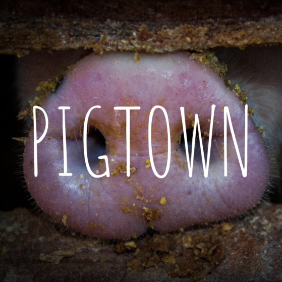 PIGTOWN